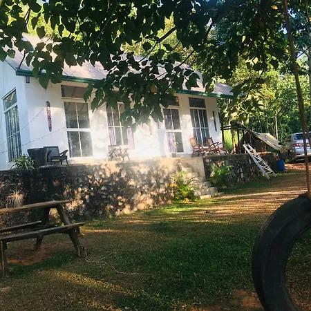 Little Wood Villa And Retreats Doluwa-2